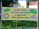 Hope welfare foundation