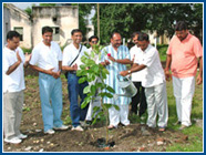 Plantation