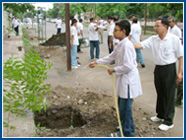 Plantation